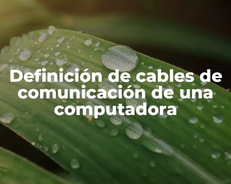 Definición de cables de comunicación de una computadora