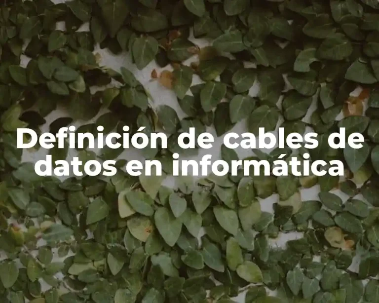 Definición de cables de datos en informática