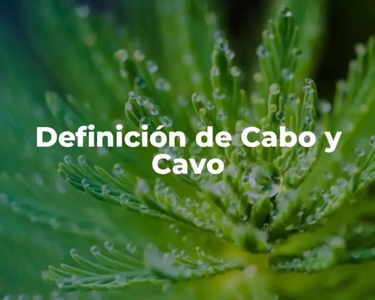 Definición de Cabo y Cavo
