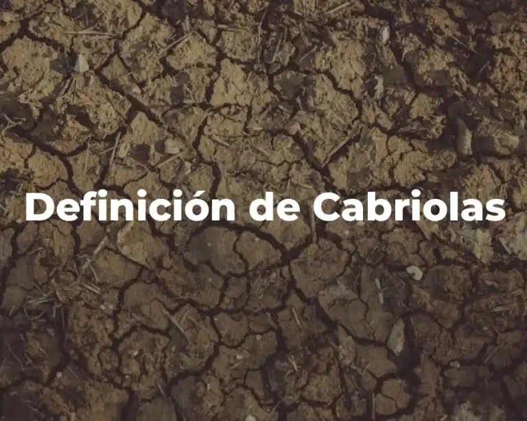 Definición de Cabriolas