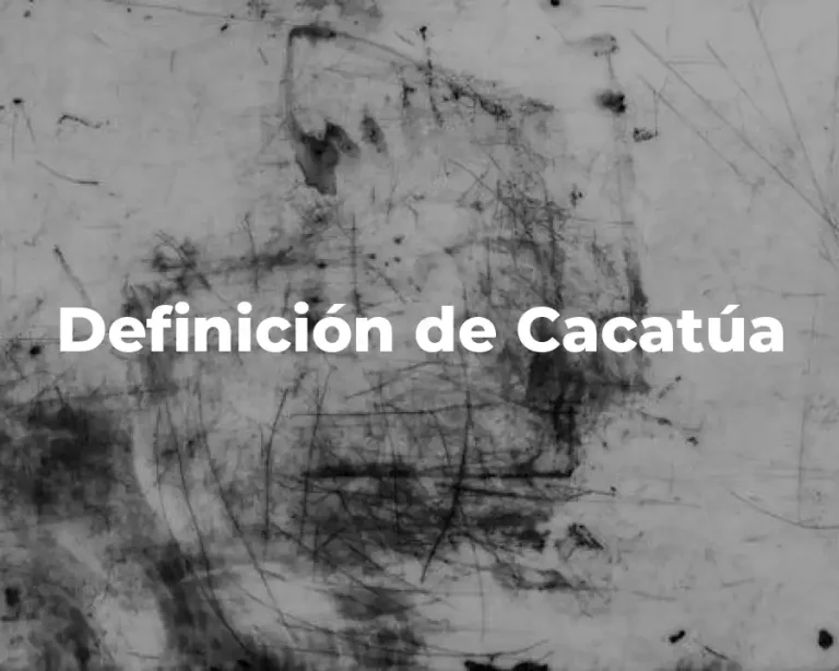 Definición de Cacatúa