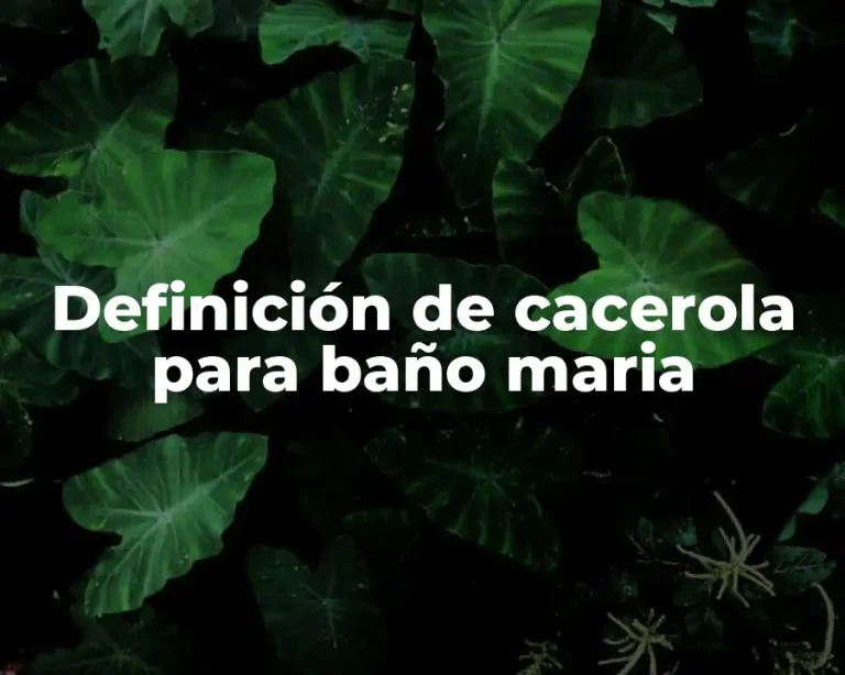 Definición de cacerola para baño maria