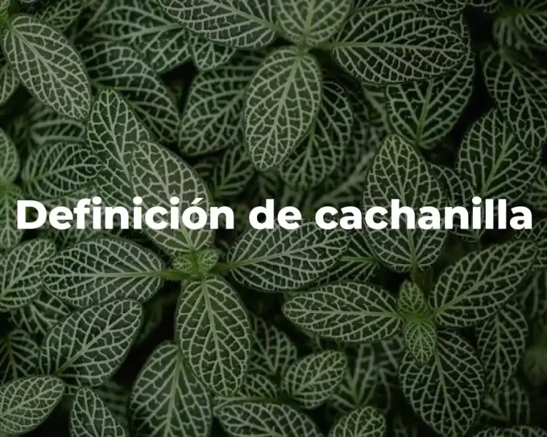 Definición de cachanilla