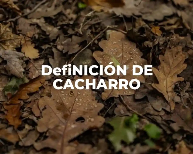 DefiNICIÓN DE CACHARRO