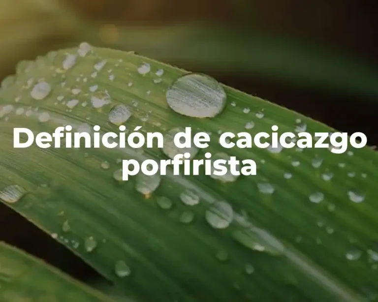 Definición de cacicazgo porfirista