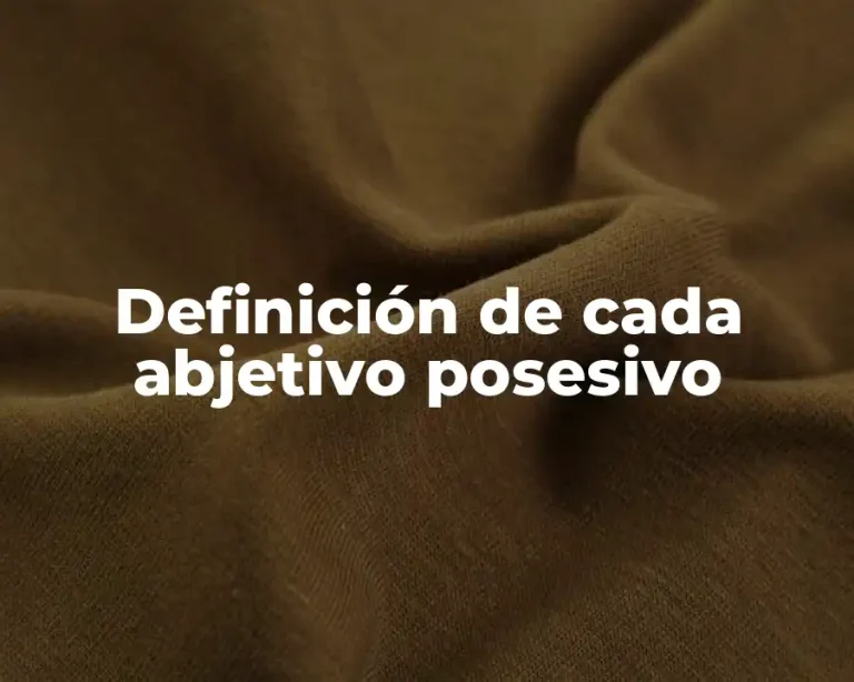 Definición de cada abjetivo posesivo