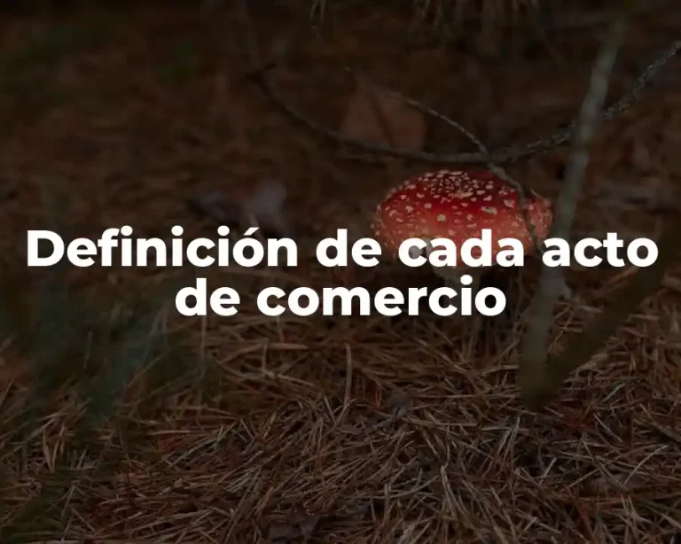 Definición de cada acto de comercio