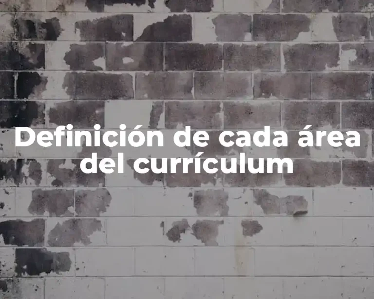 Definición de cada área del currículum