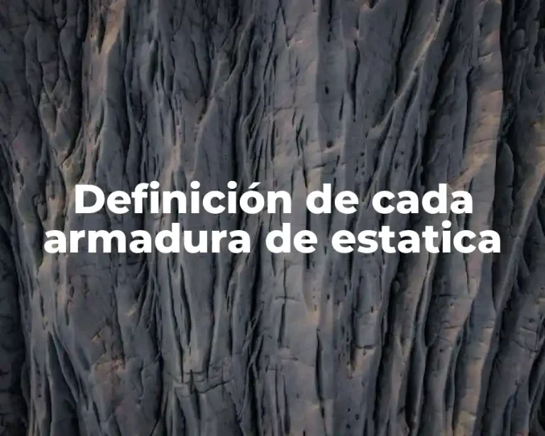 Definición de cada armadura de estatica
