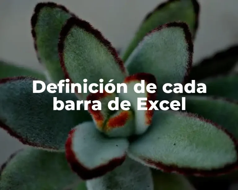 Definición de cada barra de Excel