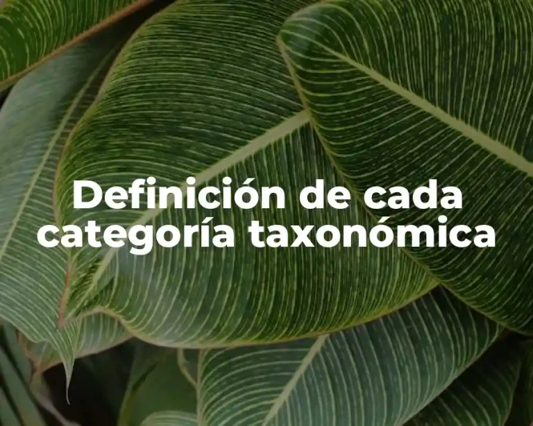 Definición de cada categoría taxonómica