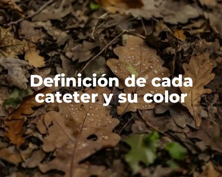 Definición de cada cateter y su color