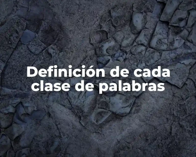 Definición de cada clase de palabras