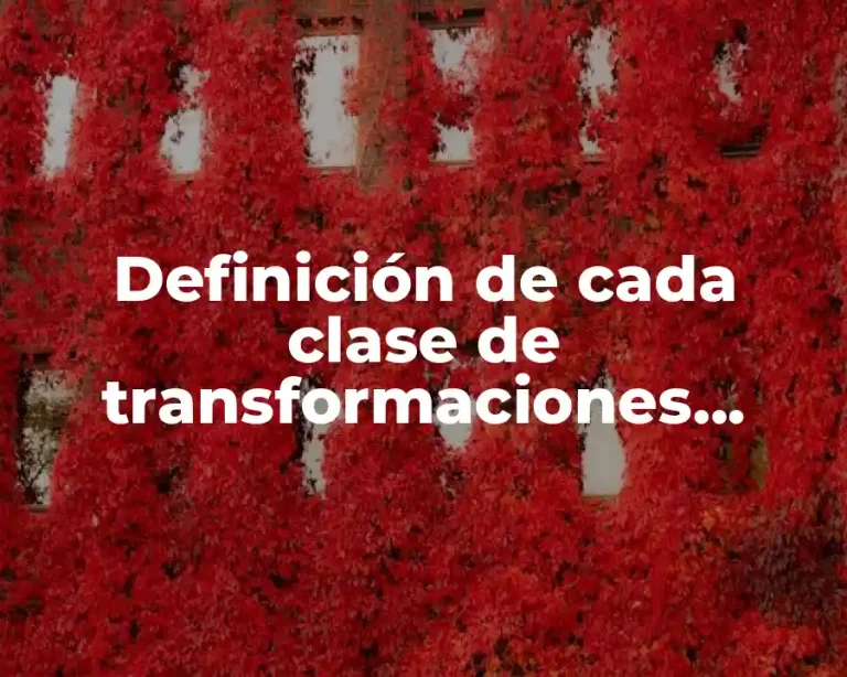 Definición de cada clase de transformaciones geométricas