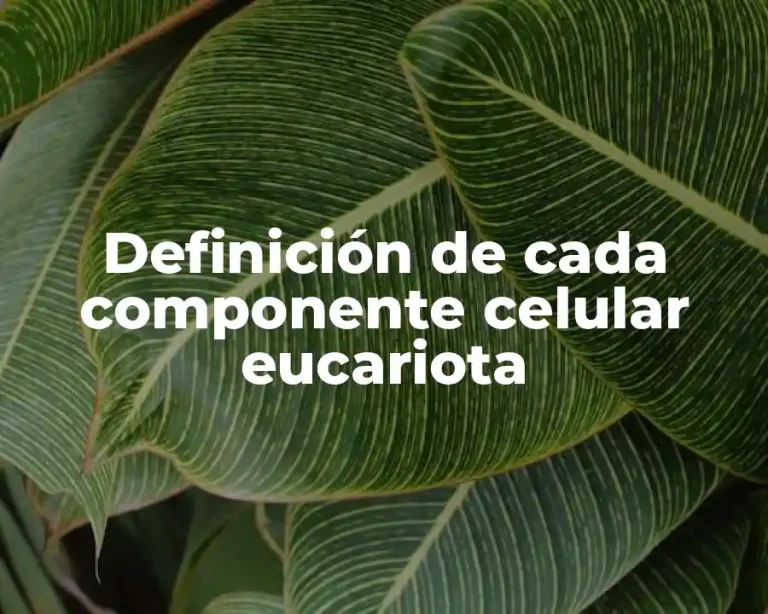 Definición de cada componente celular eucariota
