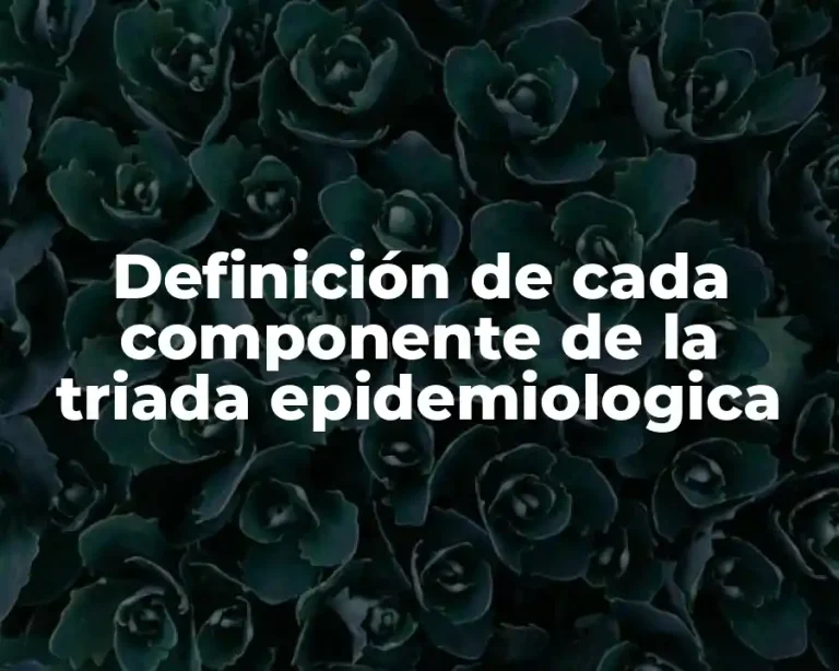 Definición de cada componente de la triada epidemiologica