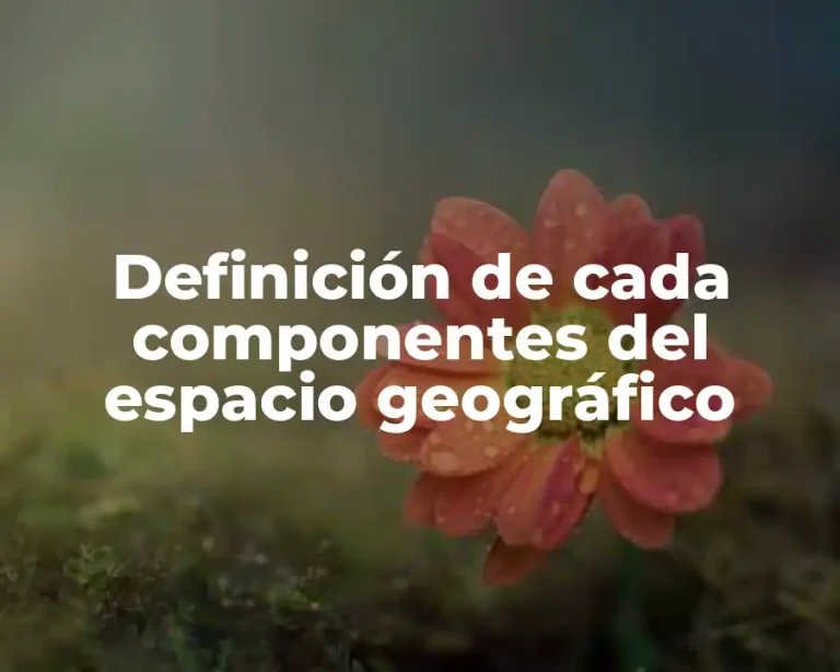 Definición de cada componentes del espacio geográfico