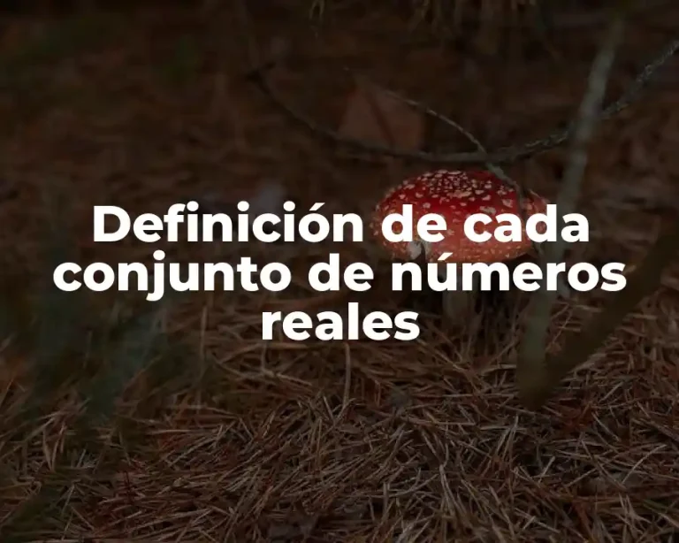 Definición de cada conjunto de números reales