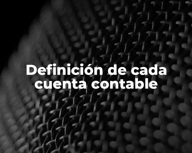 Definición de cada cuenta contable