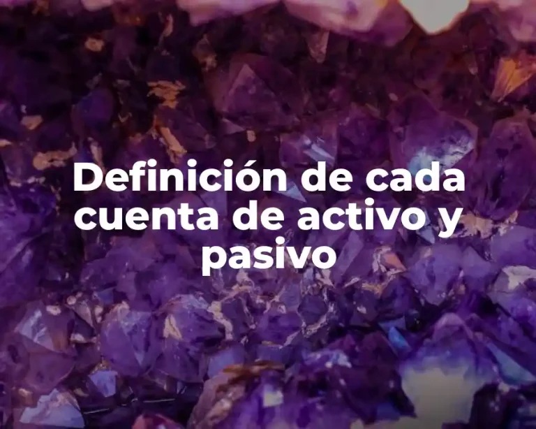 Definición de cada cuenta de activo y pasivo