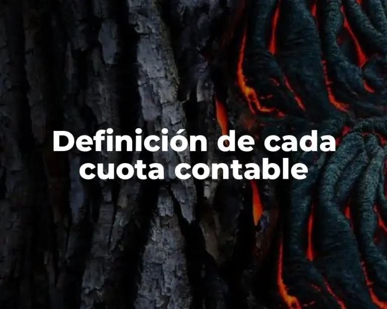 Definición de cada cuota contable