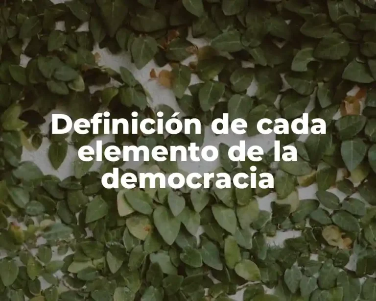 Definición de cada elemento de la democracia