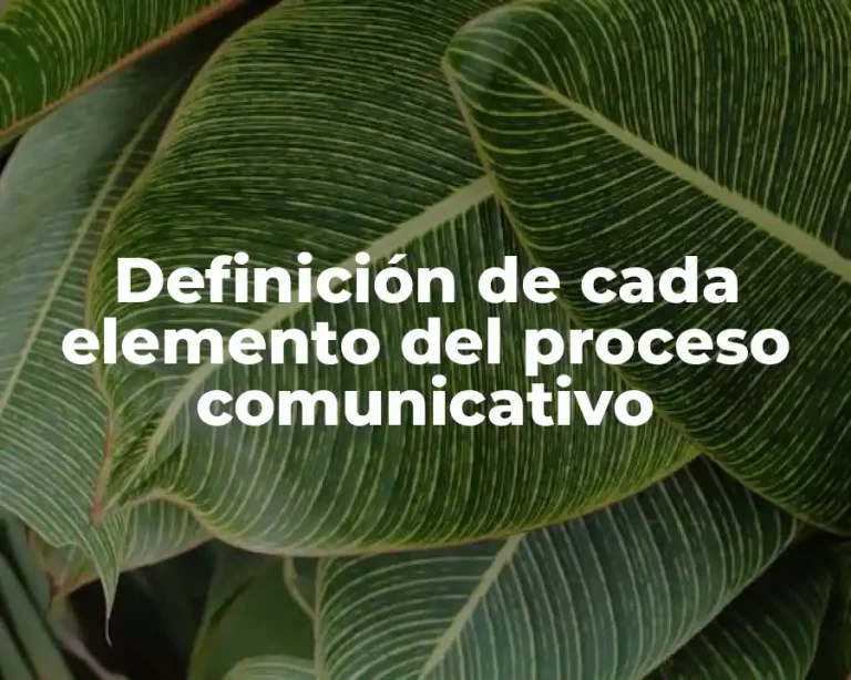 Definición de cada elemento del proceso comunicativo