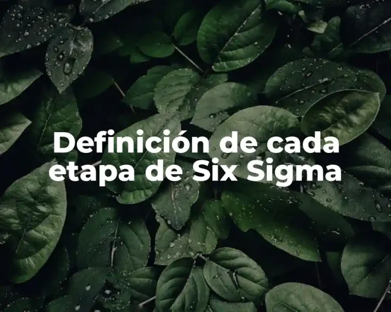 Definición de cada etapa de Six Sigma