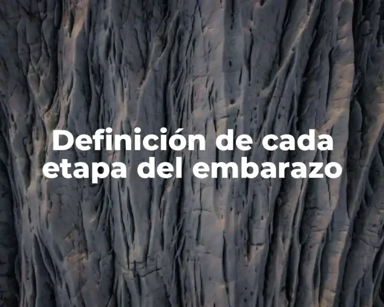 Definición de cada etapa del embarazo