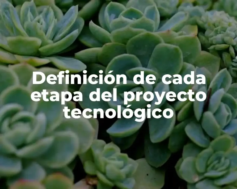 Definición de cada etapa del proyecto tecnológico