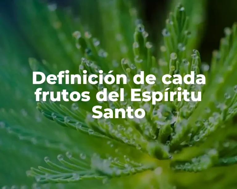 Definición de cada frutos del Espíritu Santo