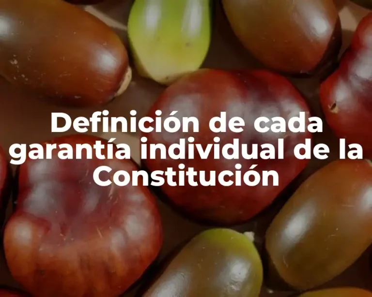 Definición de cada garantía individual de la Constitución