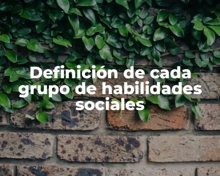 Definición de cada grupo de habilidades sociales