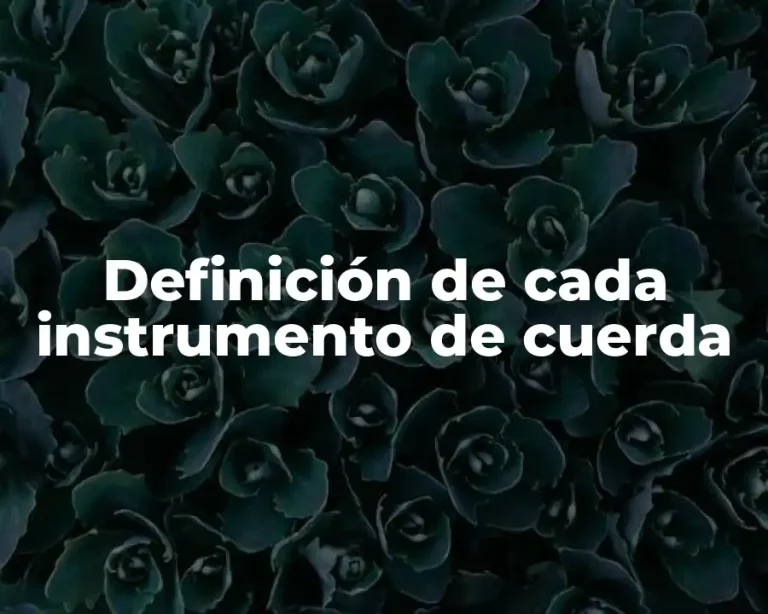 Definición de cada instrumento de cuerda