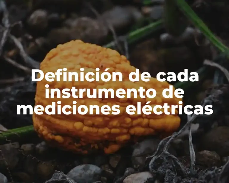 Definición de cada instrumento de mediciones eléctricas