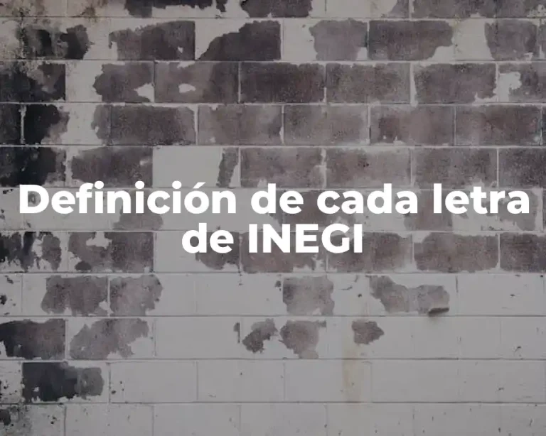 Definición de cada letra de INEGI