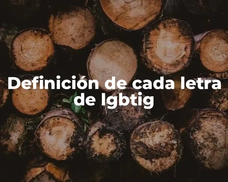 Definición de cada letra de lgbtig