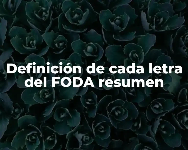 Definición de cada letra del FODA resumen