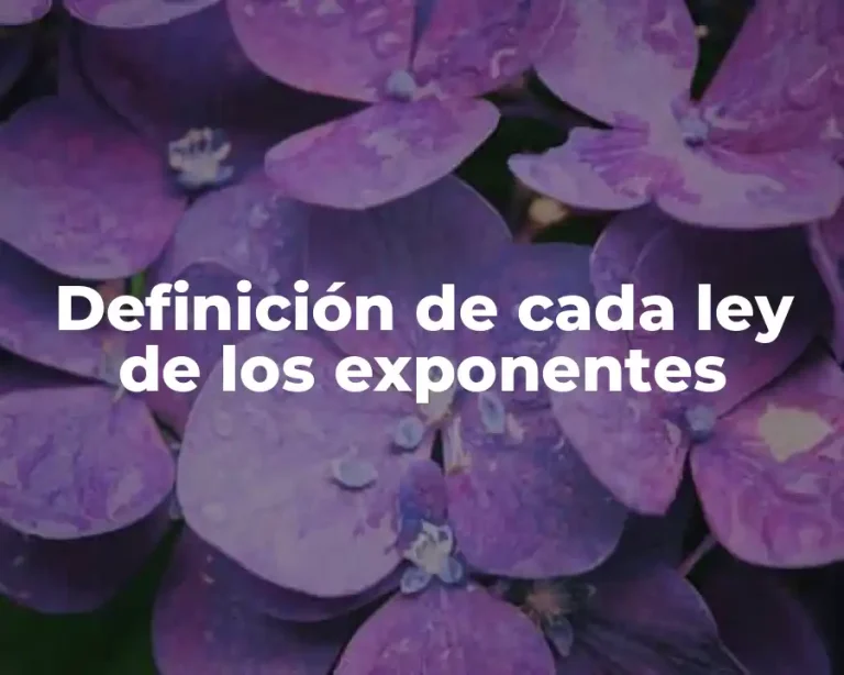 Definición de cada ley de los exponentes
