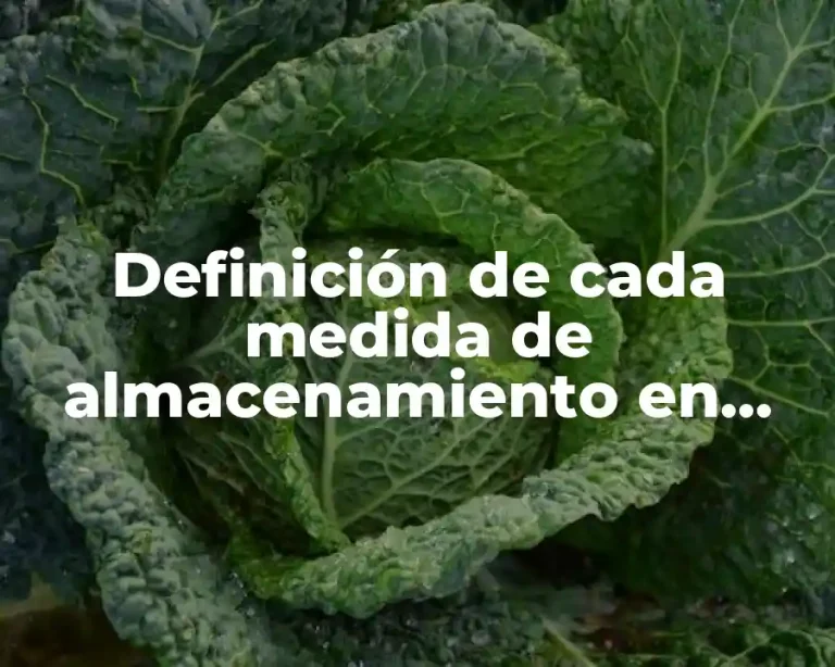 Definición de cada medida de almacenamiento en informática