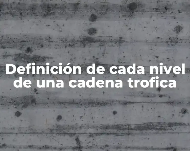 Definición de cada nivel de una cadena trofica