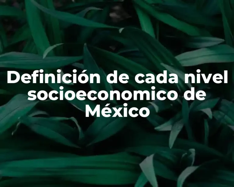 Definición de cada nivel socioeconomico de México