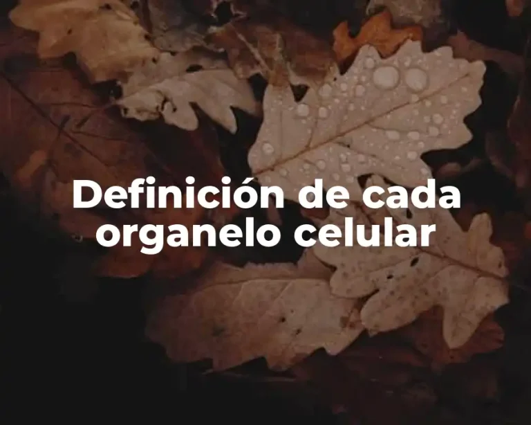Definición de cada organelo celular