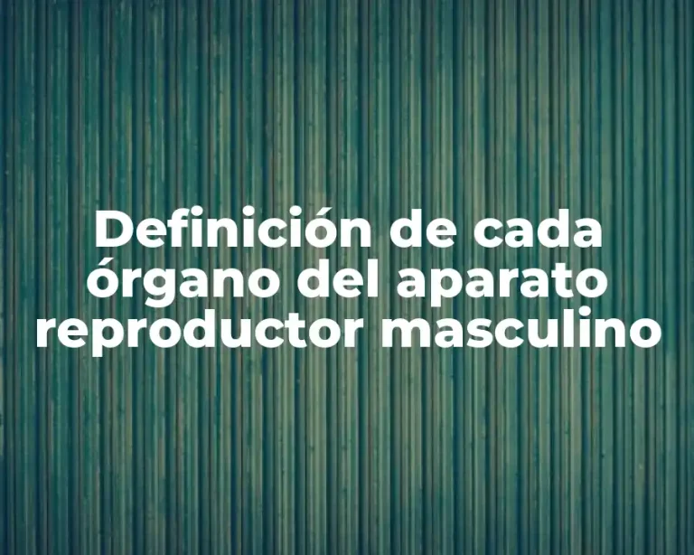 Definición de cada órgano del aparato reproductor masculino