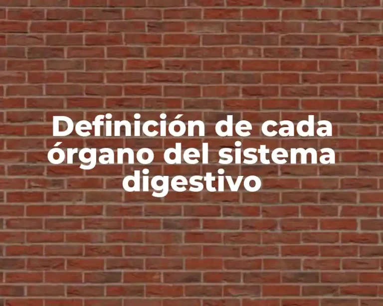 Definición de cada órgano del sistema digestivo