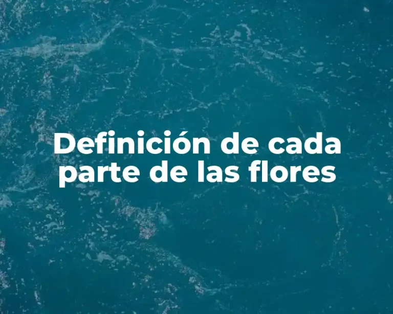 Definición de cada parte de las flores