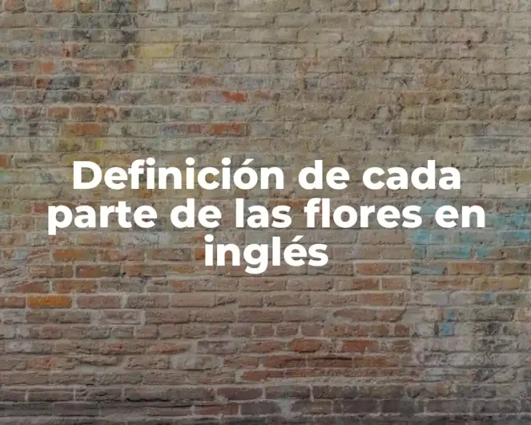 Definición de cada parte de las flores en inglés