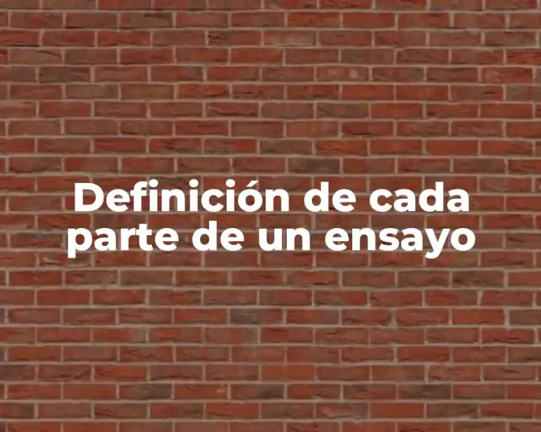 Definición de cada parte de un ensayo