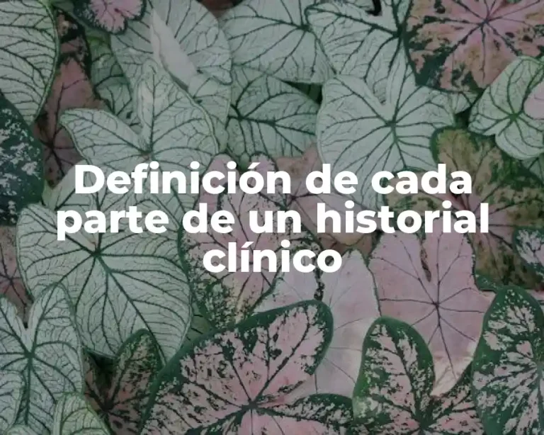 Definición de cada parte de un historial clínico