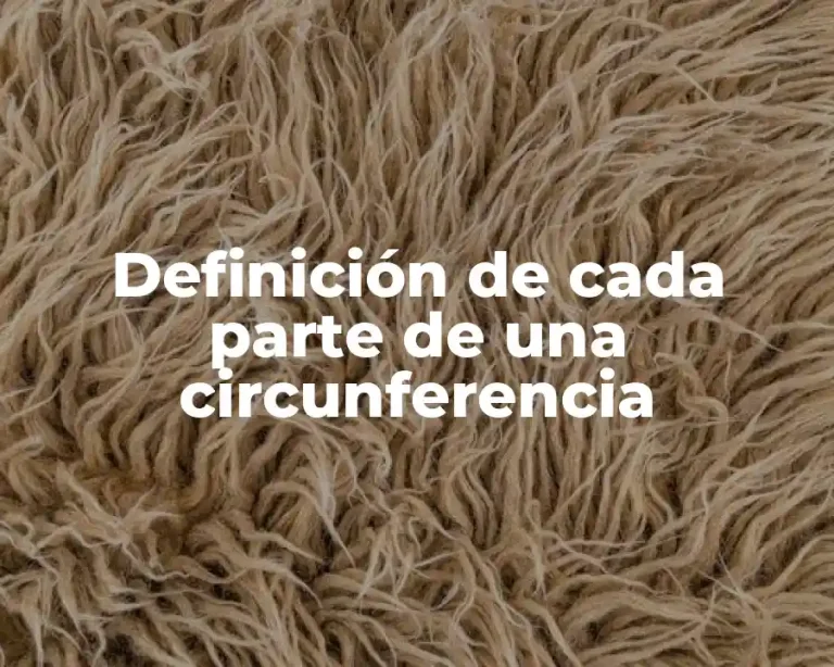 Definición de cada parte de una circunferencia